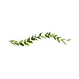 arbre, foret, psychologue, marmande, lot et garonne